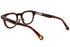 S118 LAST NIGHT col.Tortoise (Asian Fit)